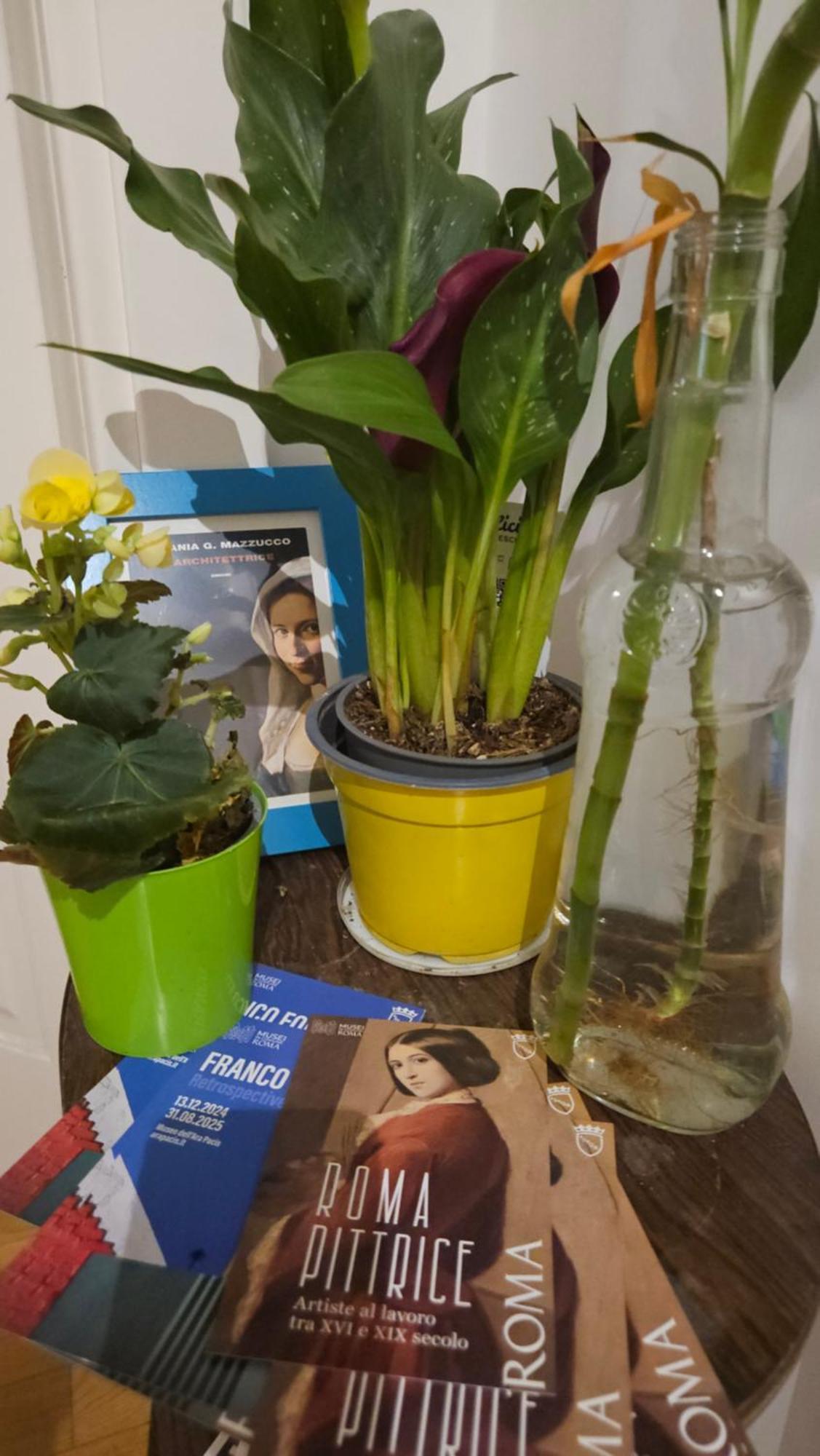 Ulysses In Bed & Breakfast Roma