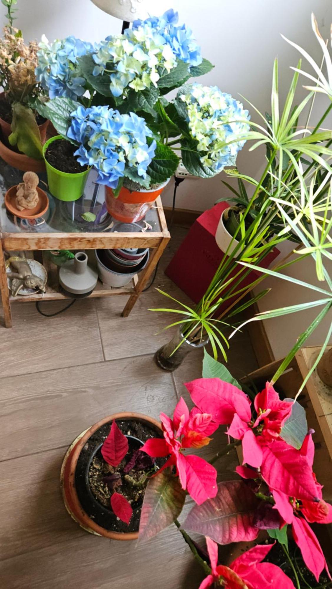Bed & Breakfast Ulysses In Roma
